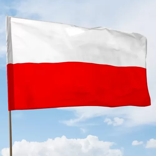 Flaga Polski na drzewiec na tle nieba