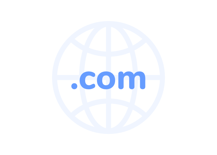 Domena globalna com
